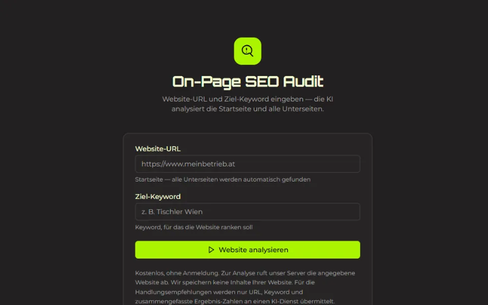 SEO-Check: Website-URL und Keyword eingeben